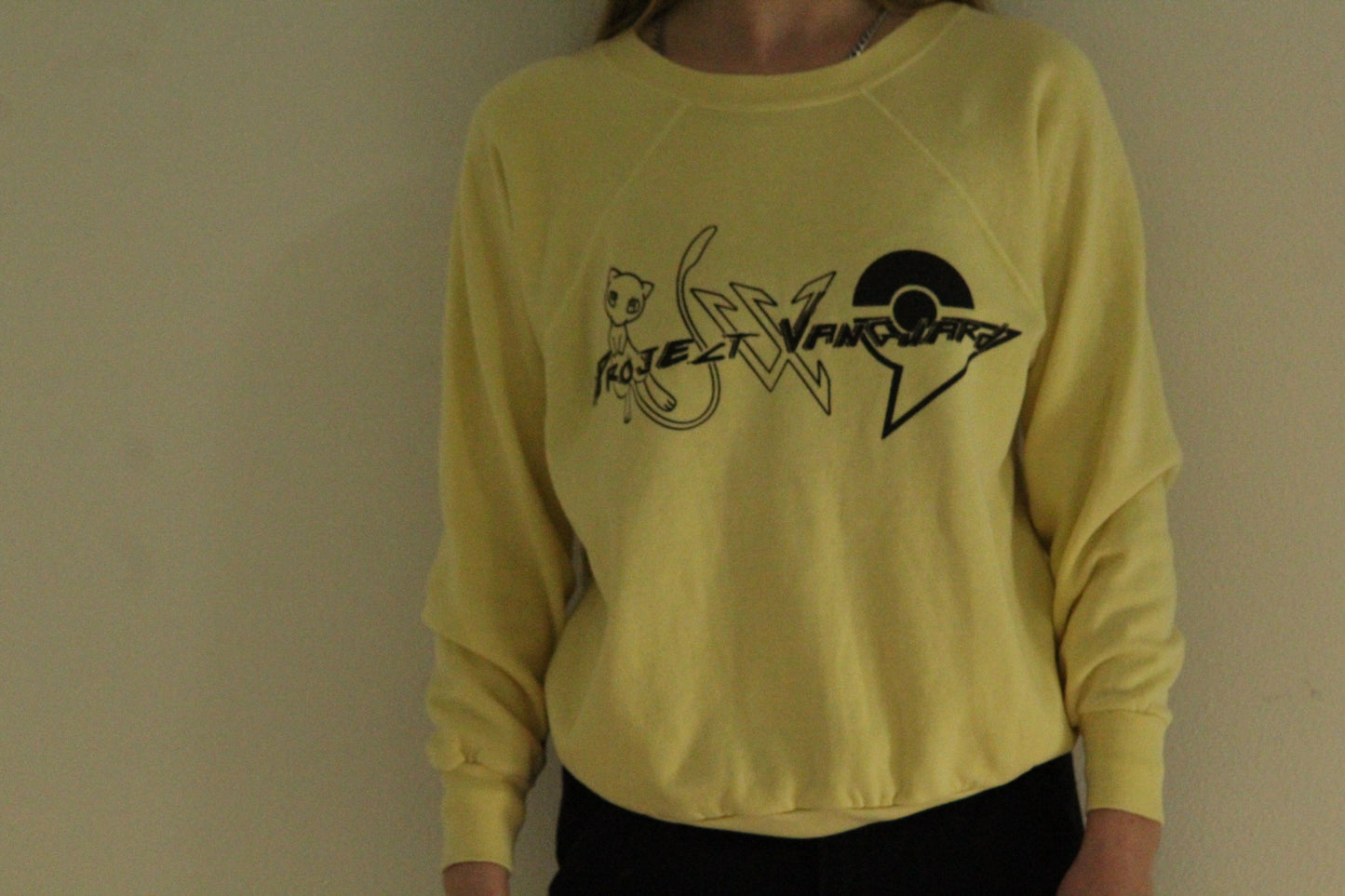 Project Vanguard Primal Typhoon