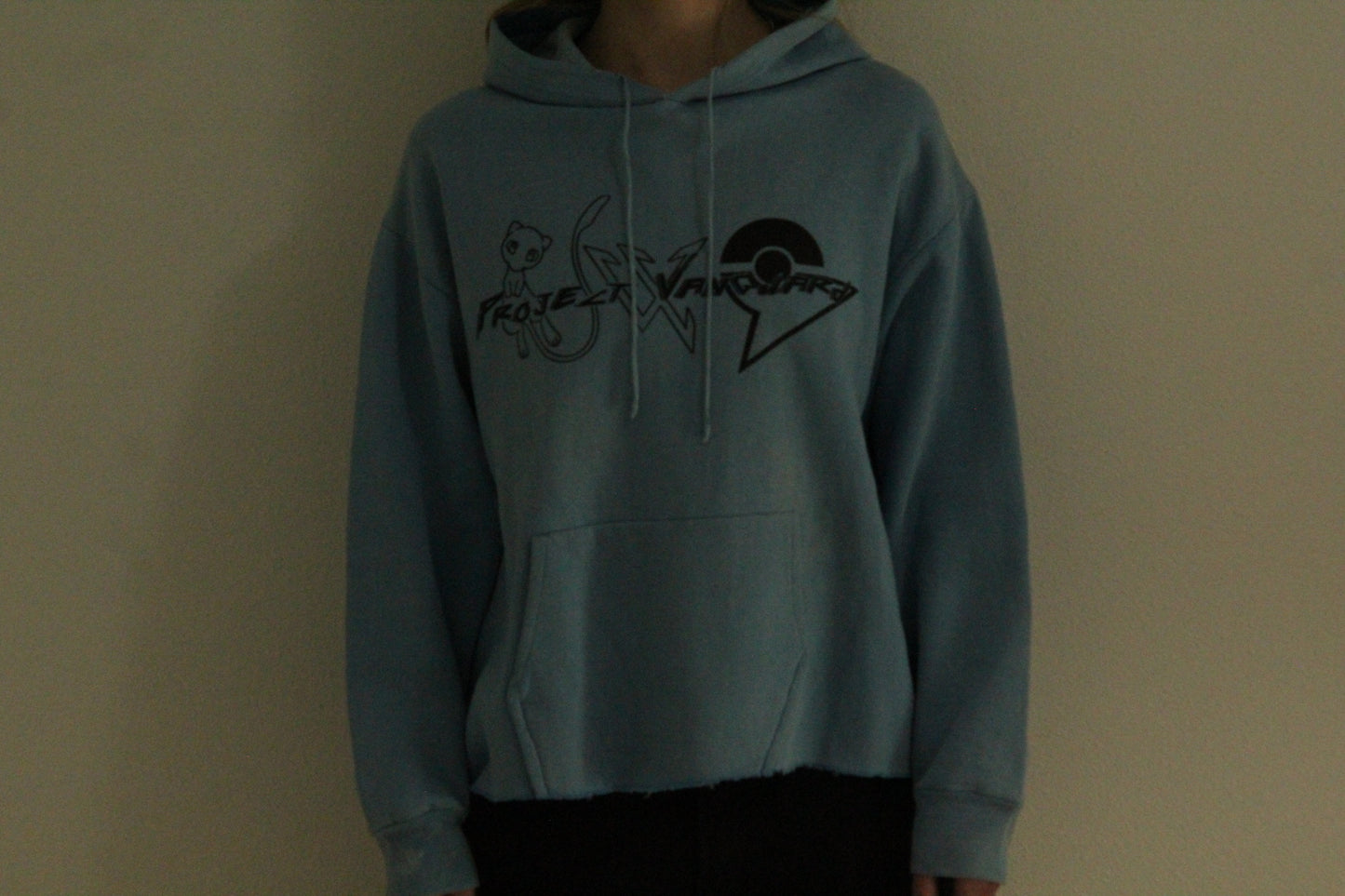 Project Vanguard Primal Typhoon