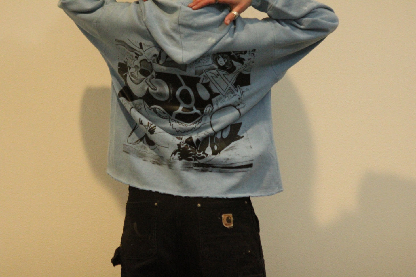 Project Vanguard Primal Typhoon